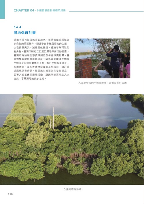 臺南市永續發展目標自願檢視報告第121頁內容