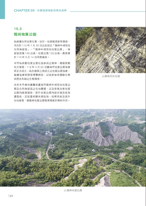 臺南市永續發展目標自願檢視報告第125頁內容