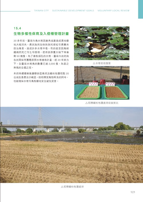臺南市永續發展目標自願檢視報告第126頁內容
