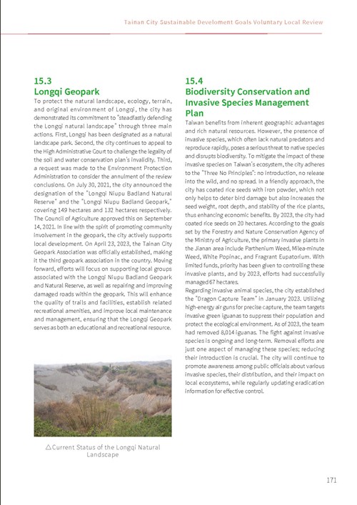2023 Tainan City Sustainable Development Goals Voluntary Local Review第176頁內容