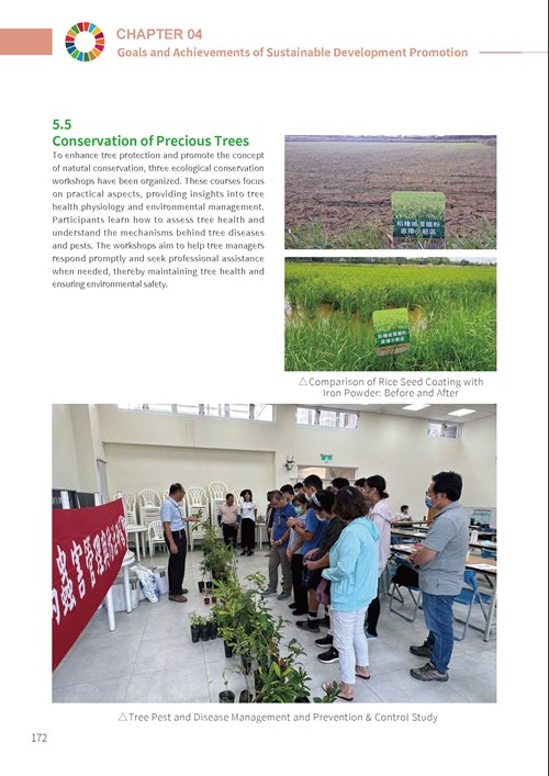 2023 Tainan City Sustainable Development Goals Voluntary Local Review第177頁內容