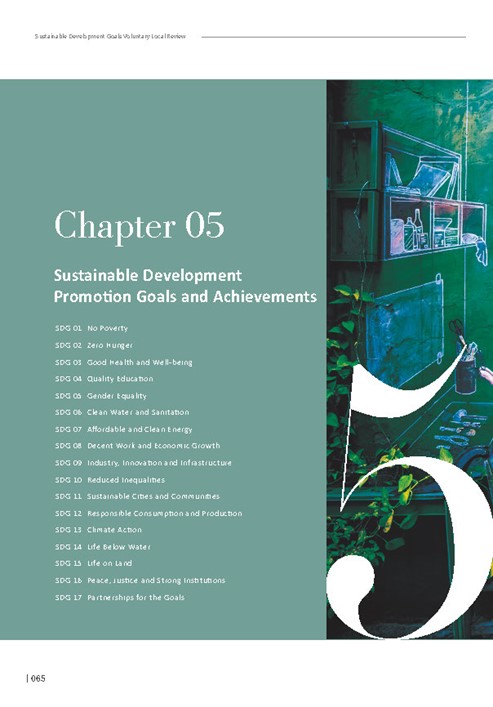 2024 Sustainable Development Goals Voluntary Local Review第67頁內容
